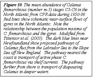 Text Box: Figure 10. The mean abundance of Calanus finmarchicus (number m-3) stages C5-C6 in the North Atlantic from CPR data during 1950-99.  Red lines show schematic near-surface flows of gyres in the North Atlantic.  Note the relationship between the population maxima of C. finmarchicus and the gyres.  Modified from Tittensor et al. (2003).  The dark blue lines near Newfoundland show proposed pathways of Calanus flux from the Labrador Sea to the Slope Sea off New England.  The pathway nearest the coast is transport of active phase C. finmarchicus via shelf currents.  The pathway further from shore is transport of diapausing Calanus in deeper waters. 