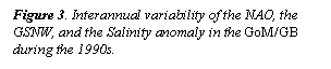 Text Box: Figure 3. Interannual variability of the NAO, the GSNW, and the Salinity anomaly in the GoM/GB during the 1990s.