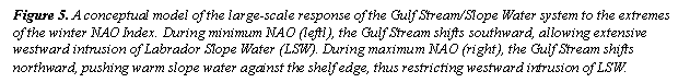 Text Box: Figure 5. A conceptual model of the large-scale response of the Gulf Stream/Slope Water system to the extremes of the winter NAO Index. During minimum NAO (leftl), the Gulf Stream shifts southward, allowing extensive westward intrusion of Labrador Slope Water (LSW). During maximum NAO (right), the Gulf Stream shifts northward, pushing warm slope water against the shelf edge, thus restricting westward intrusion of LSW.