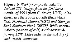 Text Box: Figure 6. Weekly-composite, satellite-derived SST  images from the first three months of 1998 (from G. Strout, UMD). Also shown are the 200-m isobath (thick black line), Northeast Channel(NEC) and Georges Bank Southern Flank (GBSF). White arrows indicate position of cold, southwestward-flowing LSW. Dates indicate the last day of each weekly composite.