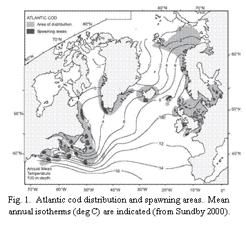 Text Box:  
Fig. 1.  Atlantic cod distribution and spawning areas.  Mean annual isotherms (deg C) are indicated (from Sundby 2000).  
