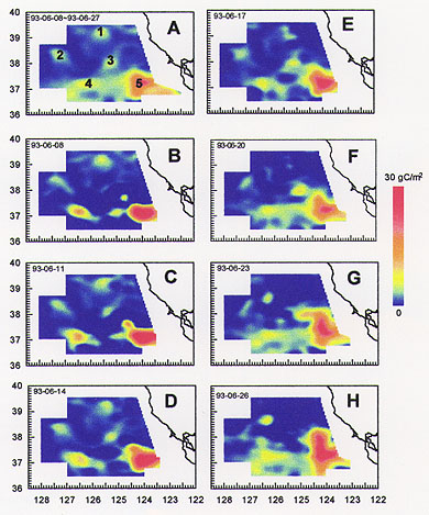 Zooplankton Distribution