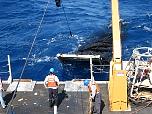 launch_MOC10d_sm2.jpg