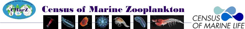 CMarZ banner