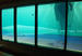 Net in Tank