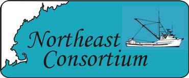 NEC Logo